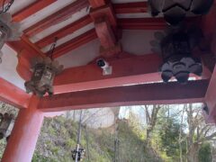 壷阪寺カメラ設置工事